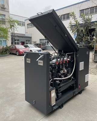 ভালো দাম High Efficiency CE Approved Micro Biogas CHP Mini Cogenerator Set Unit System 16kw 20kva অনলাইন