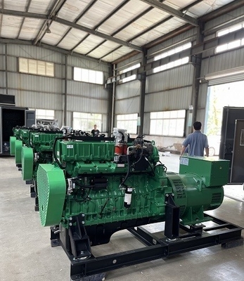 ভালো দাম Industrial Backup Emergency 250KW 300KVA Natural Gas Powered  Electric Generator Set অনলাইন