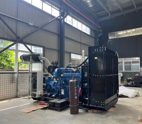 ভালো দাম 50hz 60hz Soundproof Container Open Type Continuous 200KW 250KVA LPG Powered  Electric Generator অনলাইন