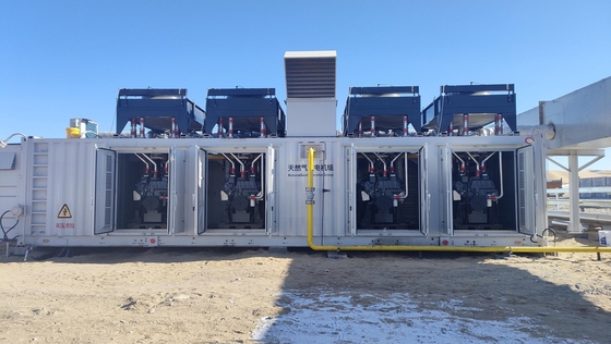 ভালো দাম Air Cooled Alternator Cooling Container Type 500KW 1000KW 1MW 2MW 3MW LNG CNG Natural Gas Deutz Generator Set for Outdoor অনলাইন