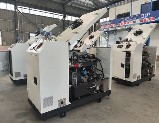 ভালো দাম 50Hz 60Hz 8kw 10kVA মাইক্রো সিএইচপি জেনারেটর কোজেনারেটর উচ্চ দক্ষতা এবং কম গোলমাল সহ অনলাইন