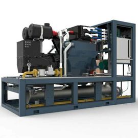 ভালো দাম 3 Phase Biogas Combined Heat And Power Systems 220KW 400V / 230V High Reliability অনলাইন