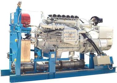 ভালো দাম 60Hz 127V 3 Phase Biogas Generator Set , Biomass Gas Generator Silent / Open Design অনলাইন