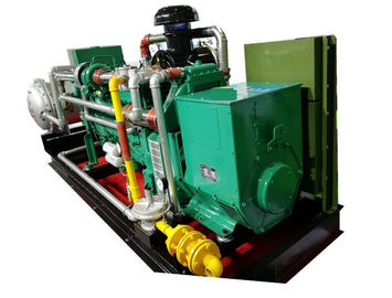 ভালো দাম 300KVA 250KW 60Hz Biogas CHP , Remote Monitoring CHP Cogeneration Systems অনলাইন
